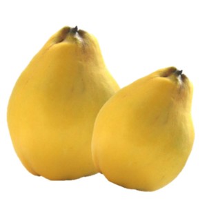 Pigwa 1szt Turcja