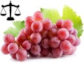 5041